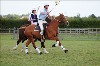 UKPA  NC Sat_1178